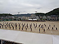 Dsc09538